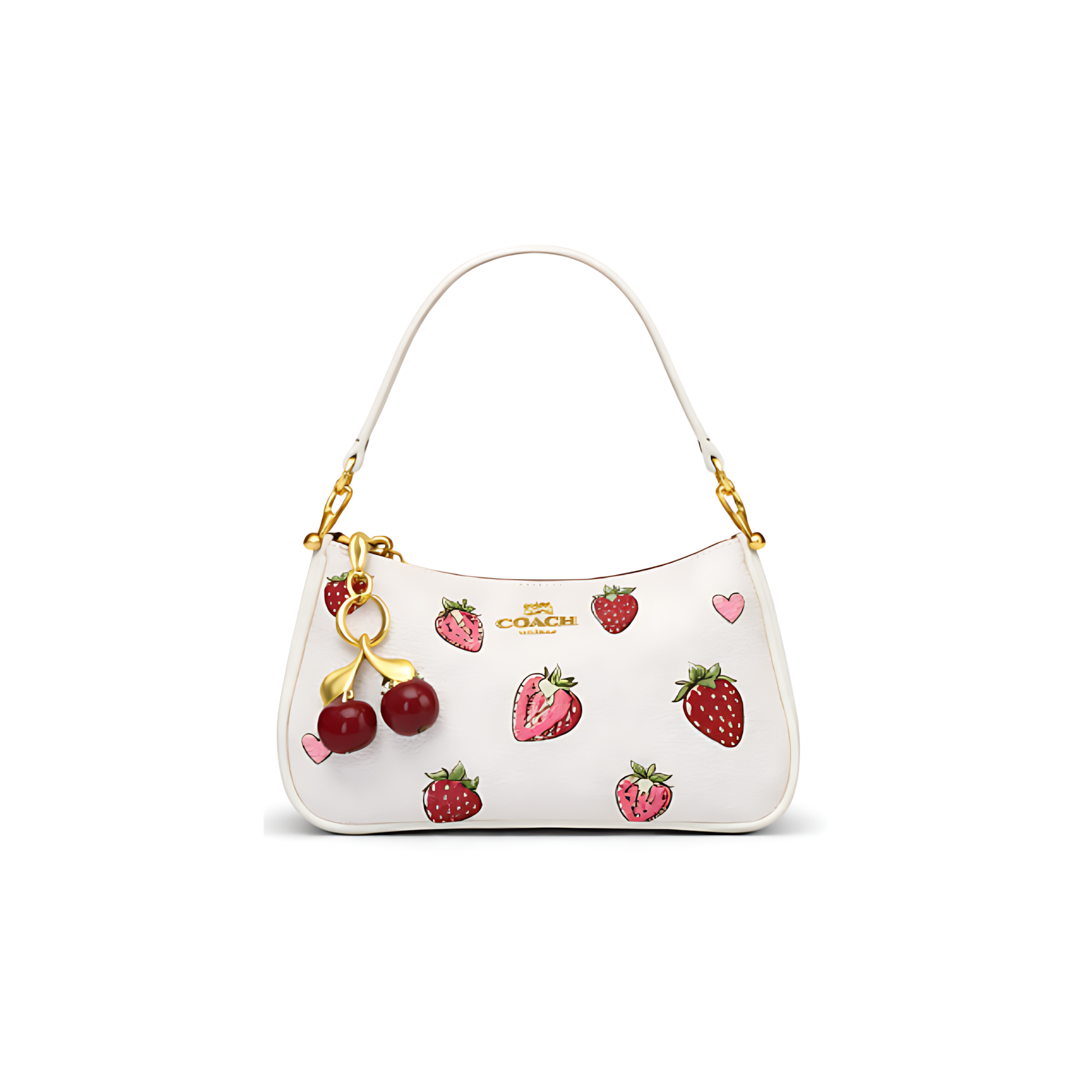 Coach Bag | Teri Shoulder Signature Canvas