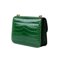 Hermès Bag | Constance 18 Cactus Alligator