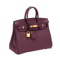 Hermès Bag | Birkin Bag Violet Togo