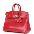 Hermès Bag | Birkin 25 Rose Extreme Lizard